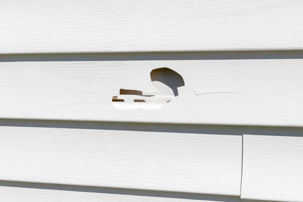 Best Steel Siding Installation  in Shorewood, WI