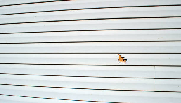 Best Fiber Cement Siding Installation  in Shorewood, WI