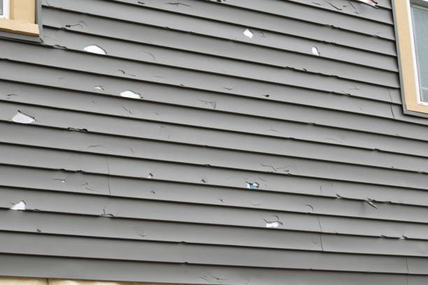Affordable siding repair and maintenance services in Shorewood, WI